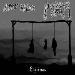 Mourning Soul (CHL) : Lagrimas